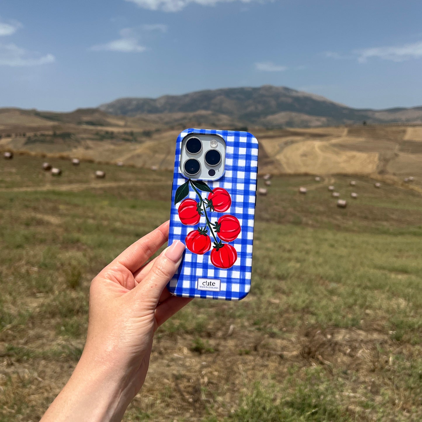 Pomodoro Picnic Magsafe phone case